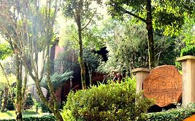 Pousada Floresta Negra